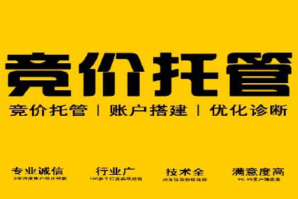 大数据分析在竞价广告中的应用